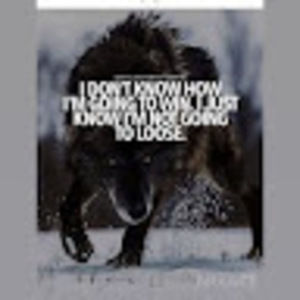 Meet your Posher, Shari